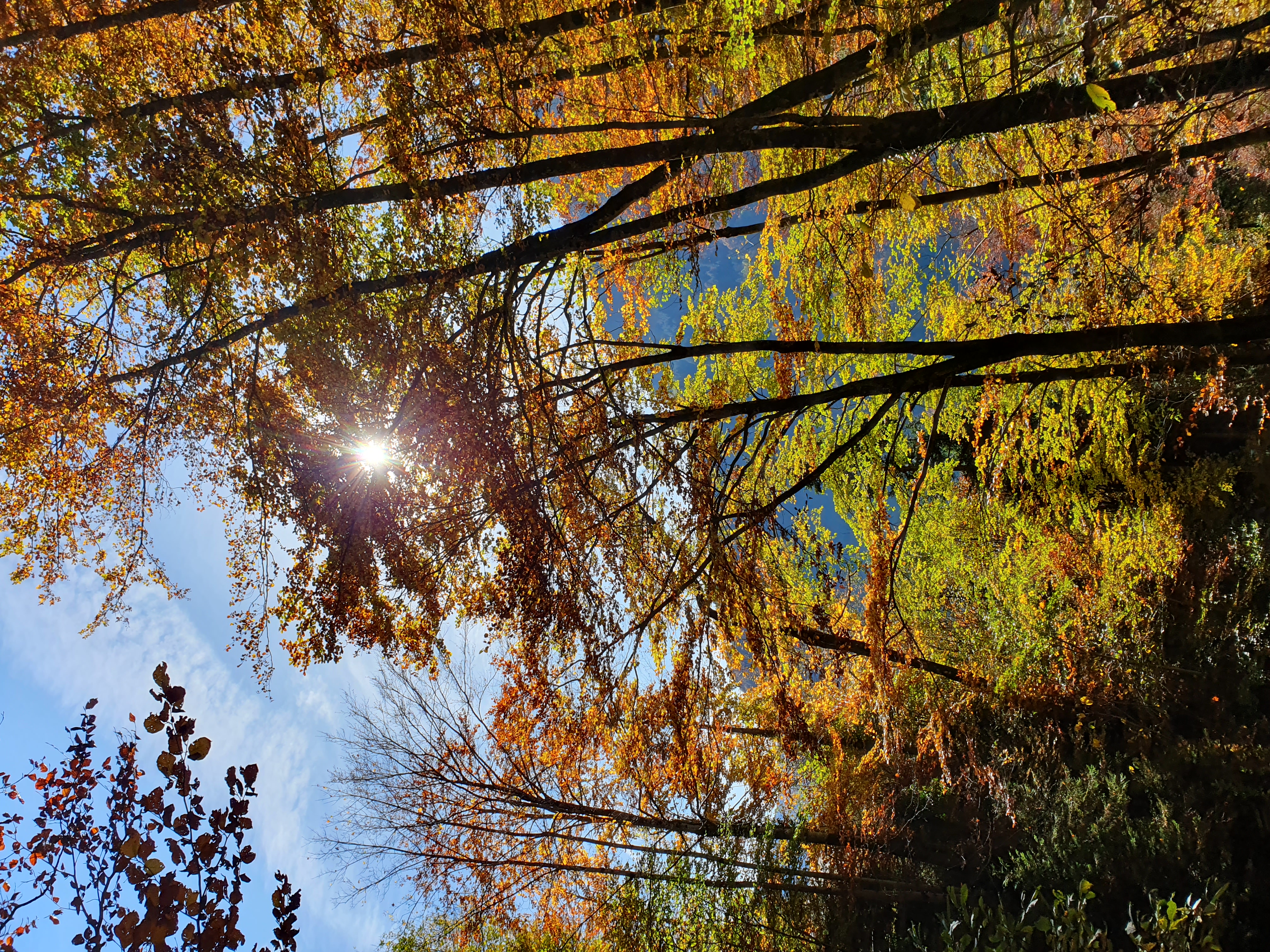 AutomneSoleil