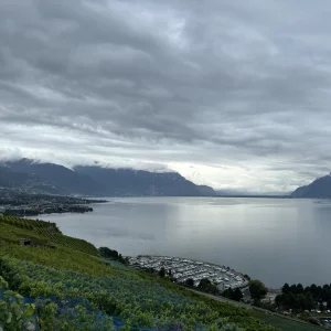 Lavaux et Léman