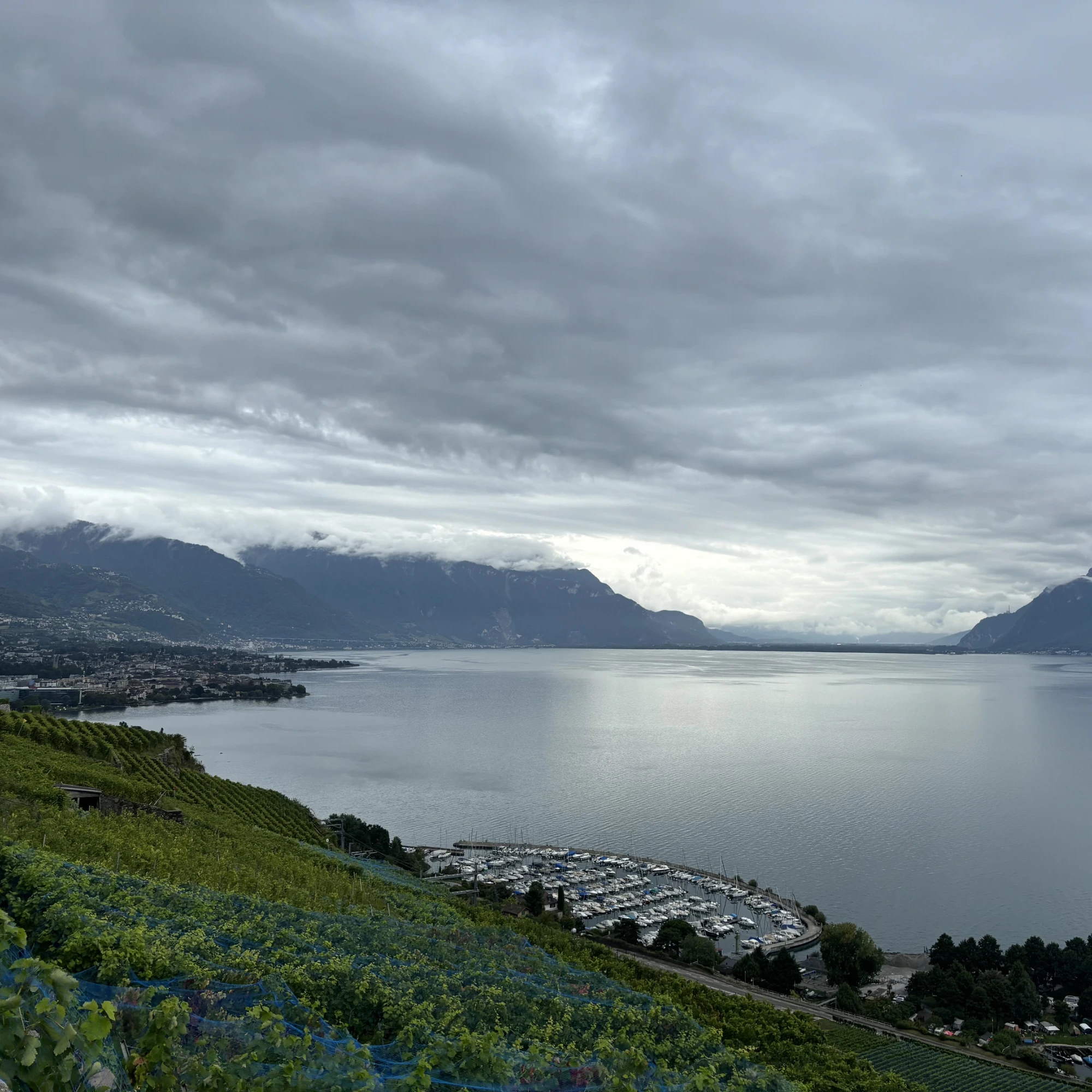 Lavaux et Léman