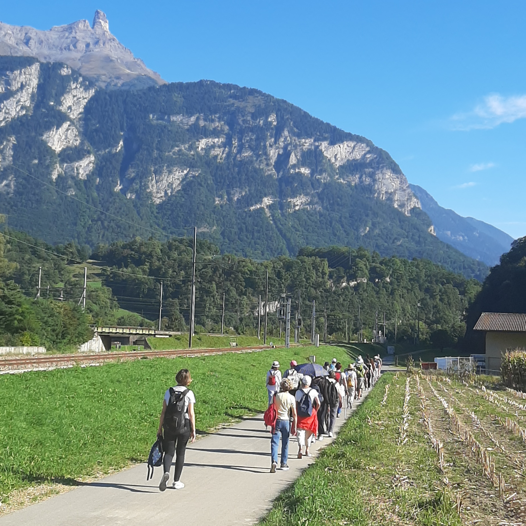 20250920_163344-1763456131613