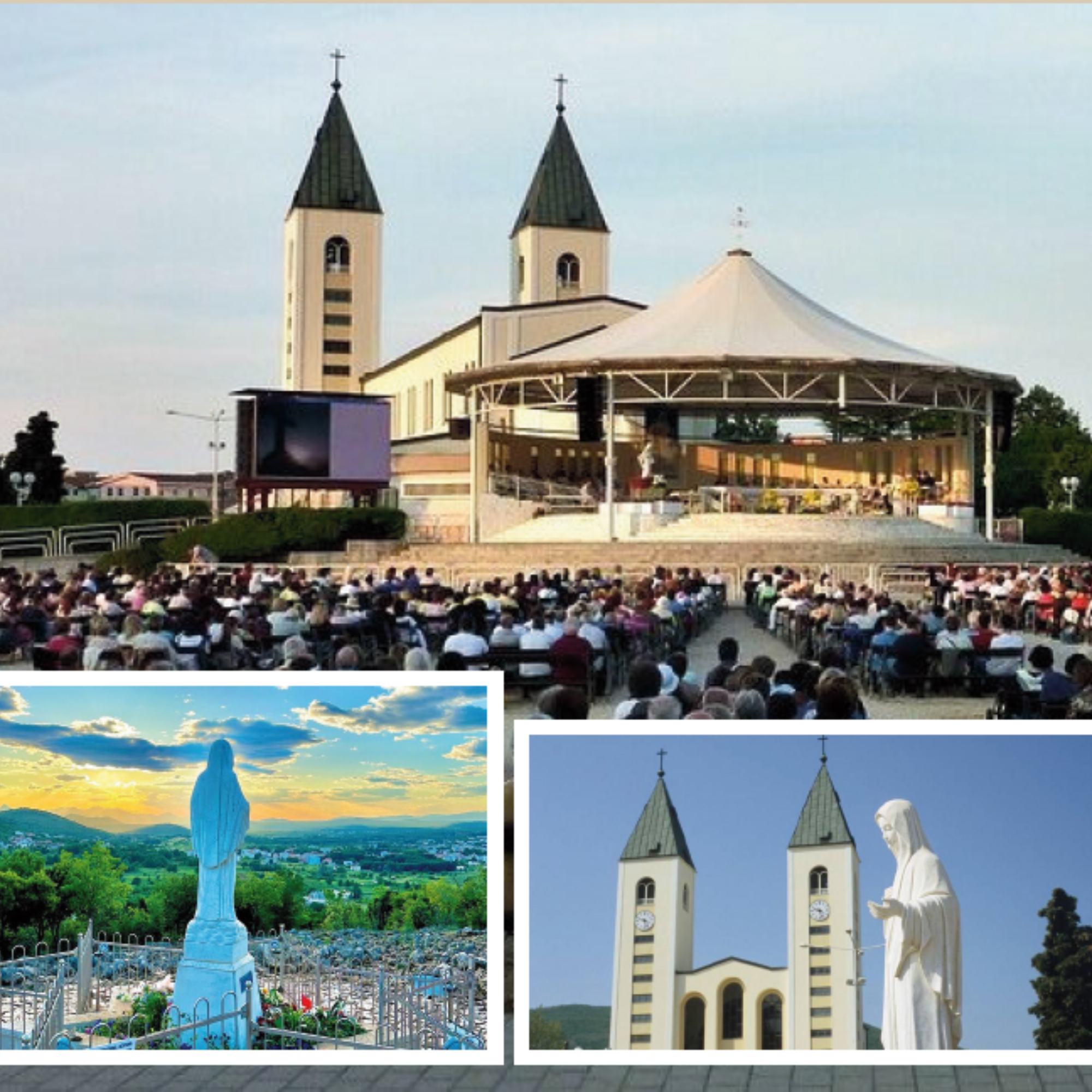 Med Image-1768924396685