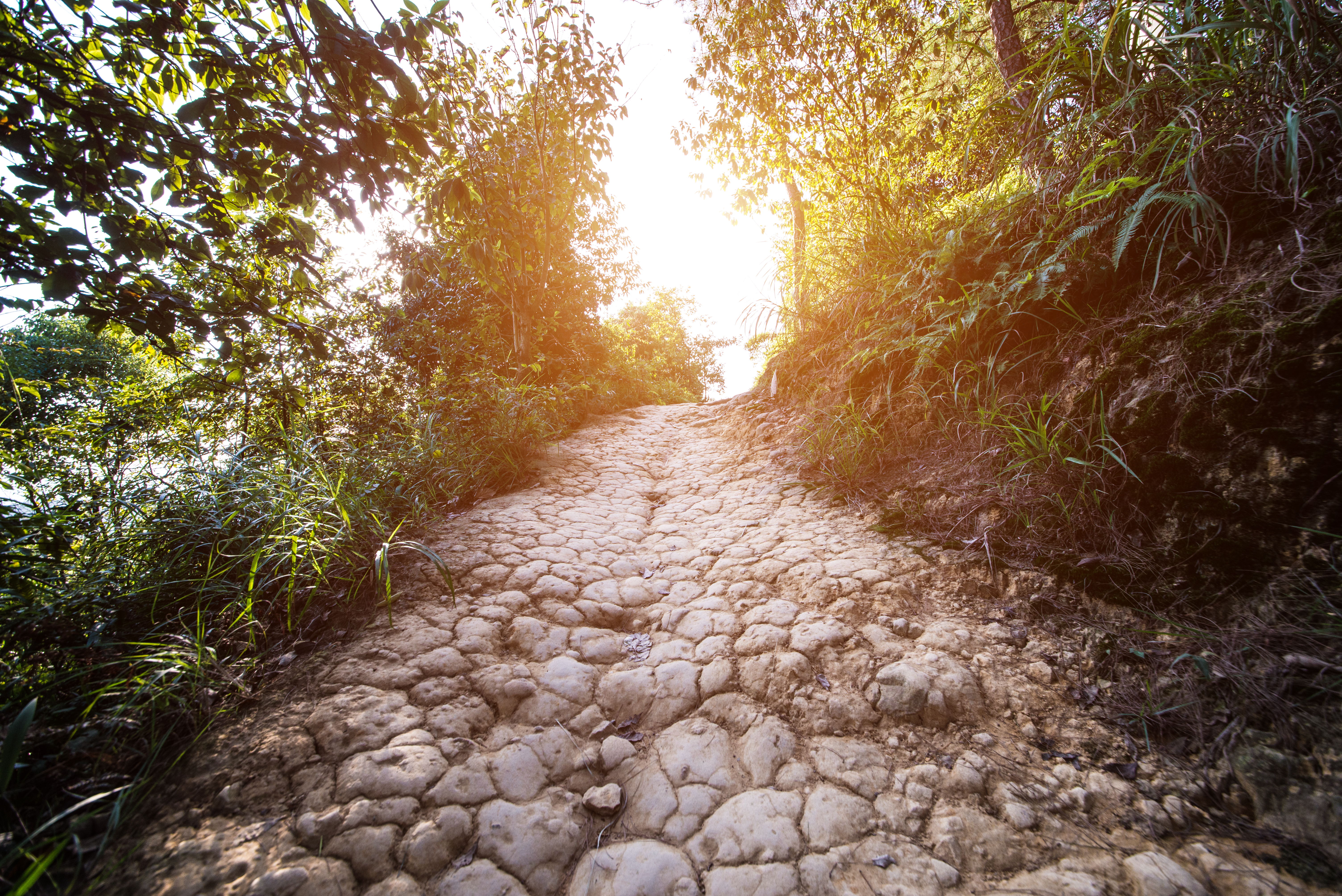 dirt-road-countryside