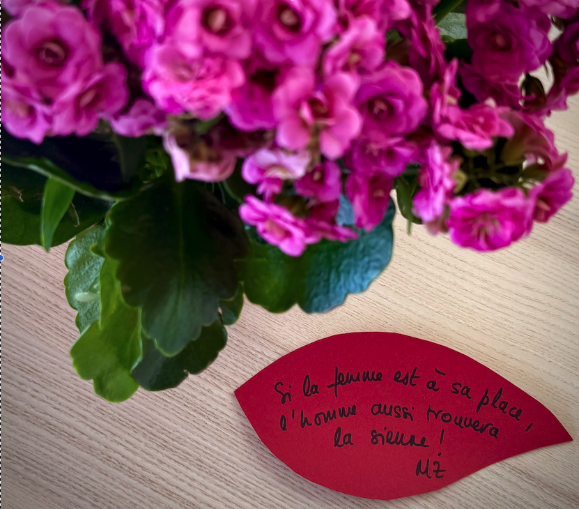 Capture d’écran 2026-03-03 à 12.00.46