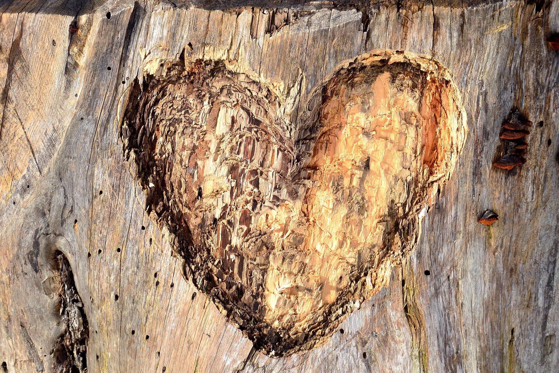 Coeur-gravé_Pixabay